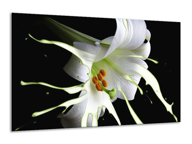 Canvas schilderij Bloem | Wit, Zwart, Groen | 120x70cm 1Luik