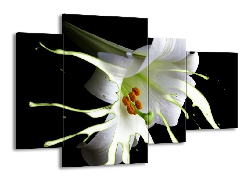 Canvas schilderij Bloem | Wit, Zwart, Groen | 120x75cm 4Luik