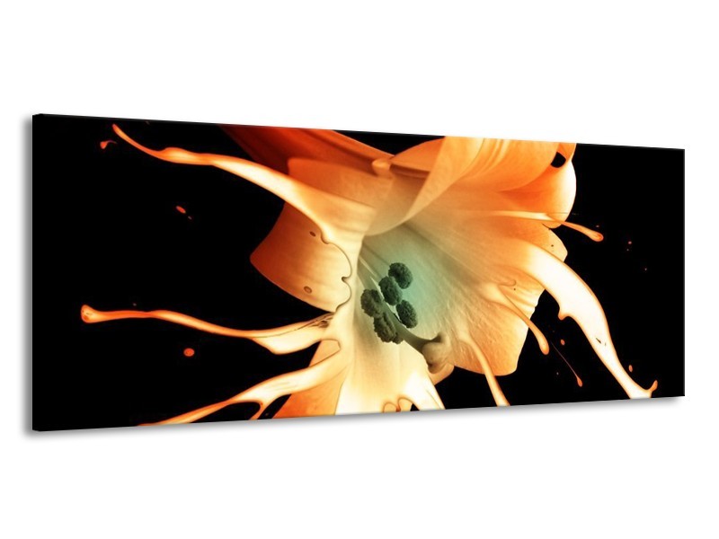 Canvas schilderij Bloem | Wit, Zwart, Oranje | 145x58cm 1Luik