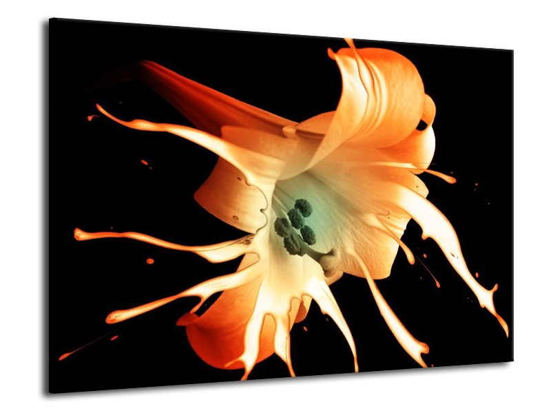 Canvas schilderij Bloem | Wit, Zwart, Oranje | 70x50cm 1Luik