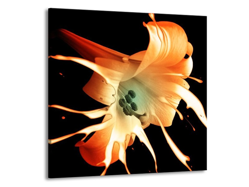 Canvas schilderij Bloem | Wit, Zwart, Oranje | 70x70cm 1Luik