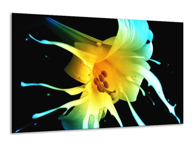 Canvas schilderij Bloem | Zwart, Geel, Blauw | 120x70cm 1Luik