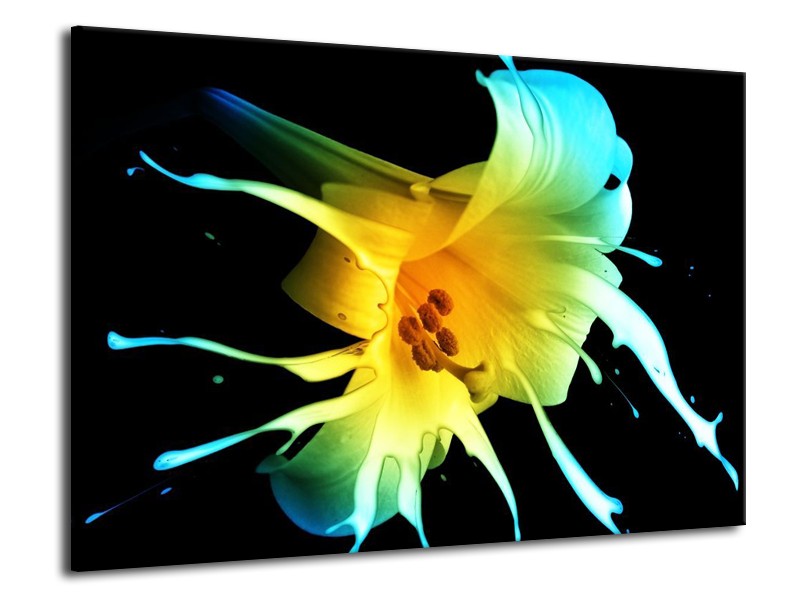 Canvas schilderij Bloem | Zwart, Geel, Blauw | 70x50cm 1Luik