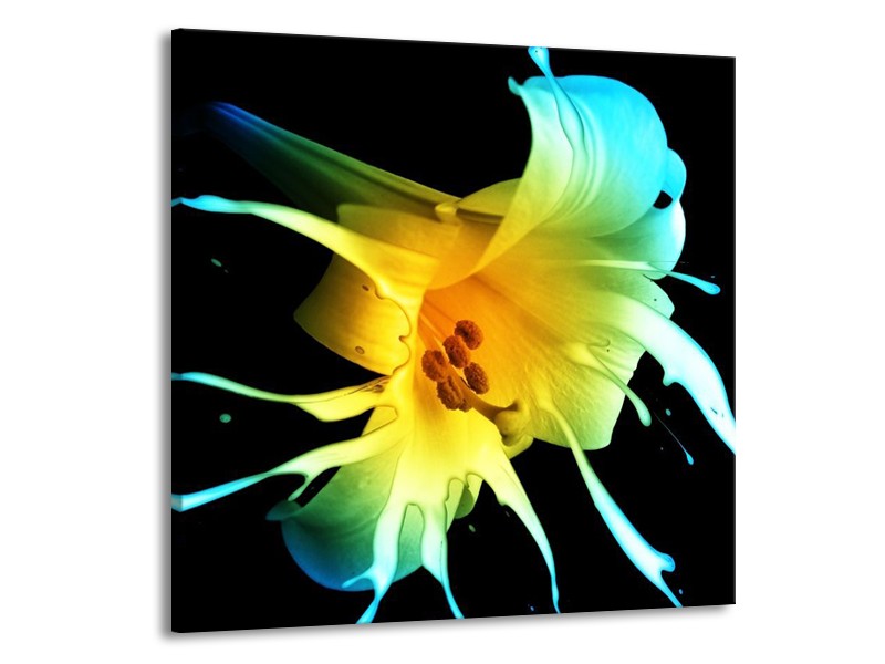 Canvas schilderij Bloem | Zwart, Geel, Blauw | 70x70cm 1Luik