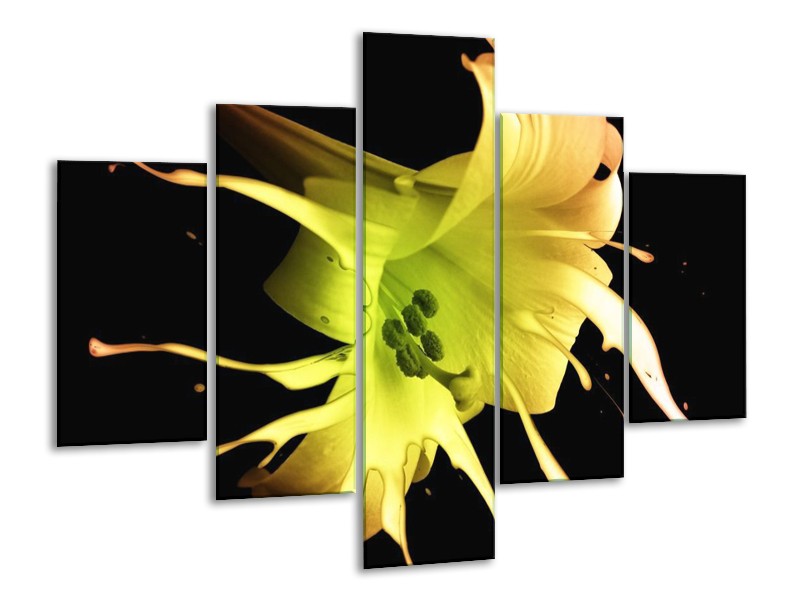 Canvas schilderij Bloem | Zwart, Geel, Groen | 100x70cm 5Luik