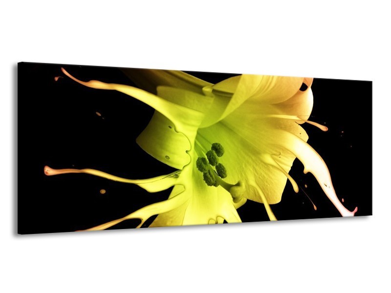 Canvas schilderij Bloem | Zwart, Geel, Groen | 145x58cm 1Luik