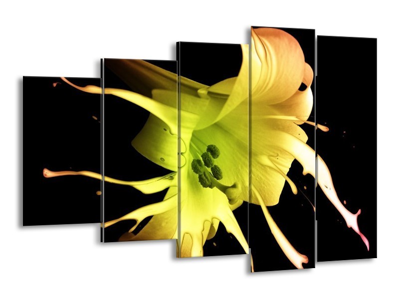 Canvas schilderij Bloem | Zwart, Geel, Groen | 150x100cm 5Luik