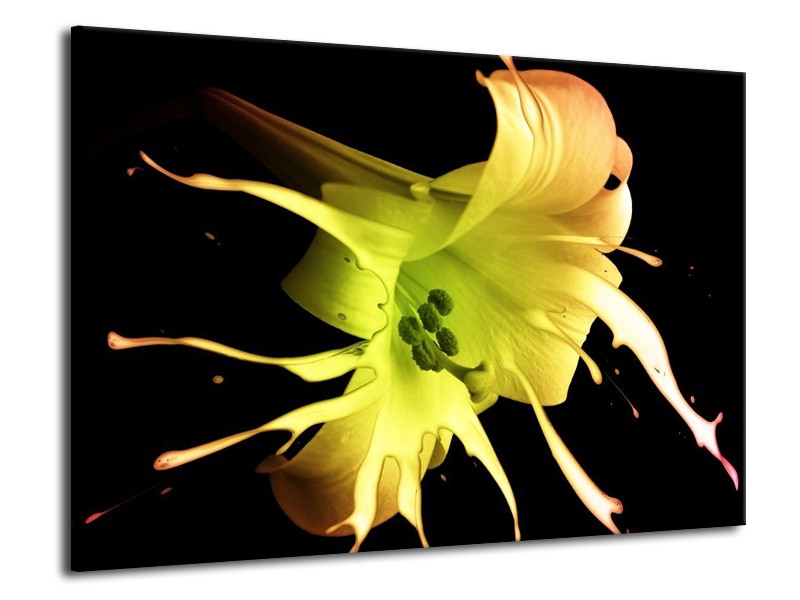 Canvas schilderij Bloem | Zwart, Geel, Groen | 70x50cm 1Luik