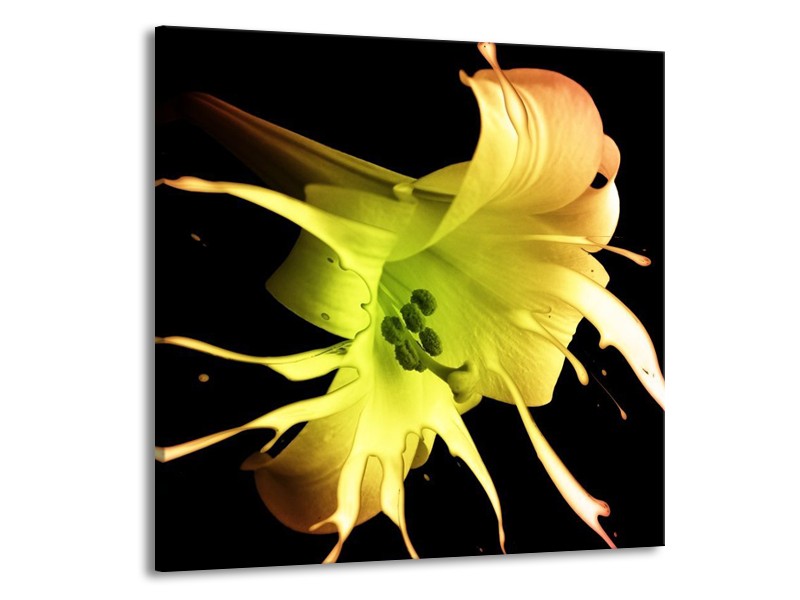 Canvas schilderij Bloem | Zwart, Geel, Groen | 70x70cm 1Luik
