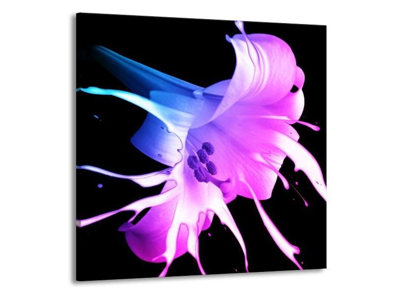 Canvas schilderij Bloem | Zwart, Paars, Blauw | 70x70cm 1Luik