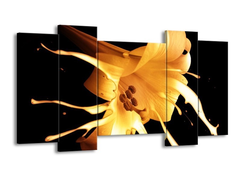 Canvas schilderij Bloem | Oranje, Geel, Zwart | 120x65 5Luik