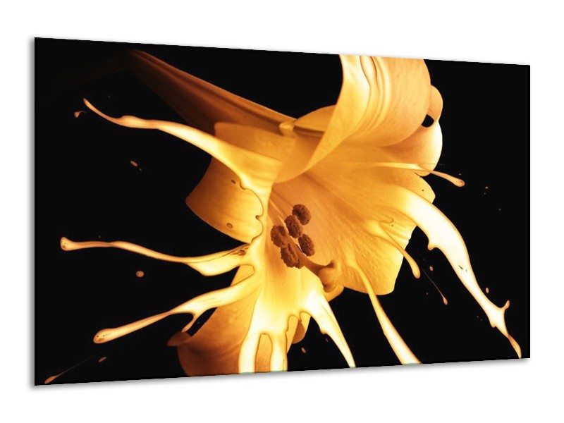 Canvas schilderij Bloem | Oranje, Geel, Zwart | 120x70cm 1Luik