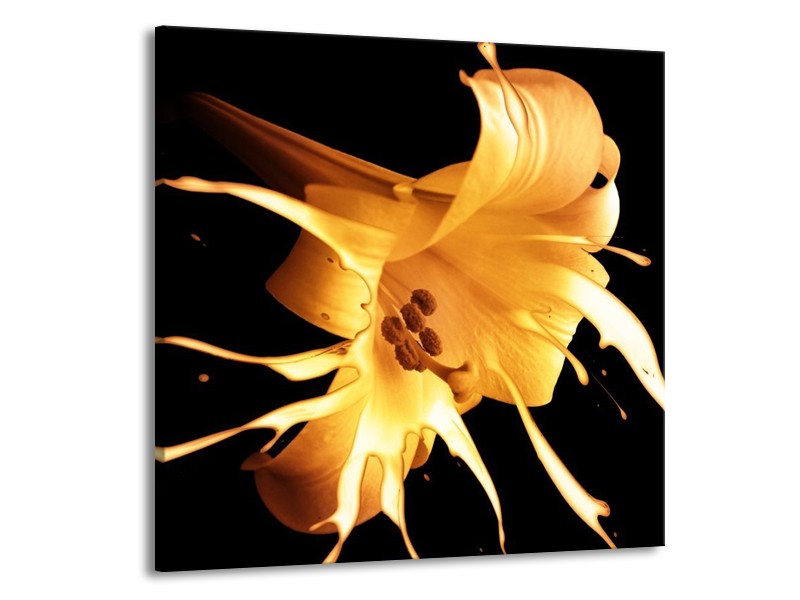 Canvas schilderij Bloem | Oranje, Geel, Zwart | 70x70cm 1Luik