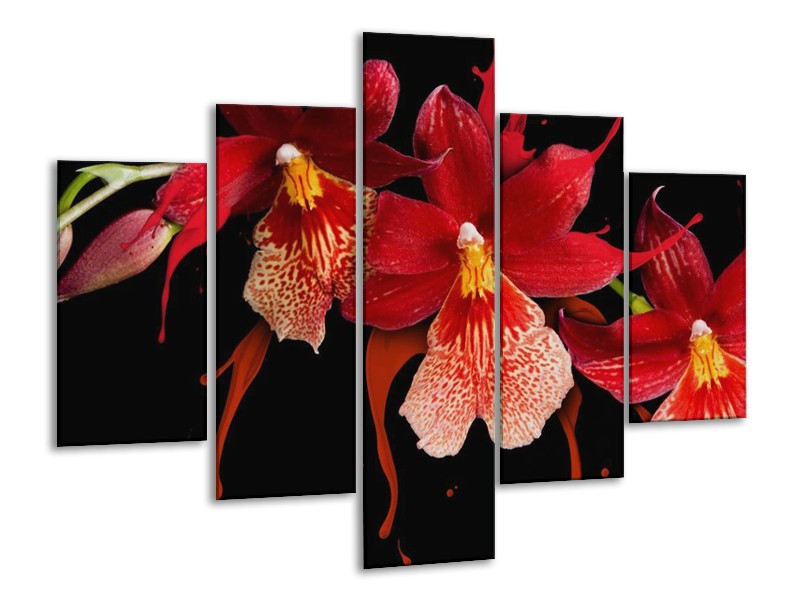 Canvas schilderij Orchidee | Roze, Rood, Zwart, | 100x70cm 5Luik