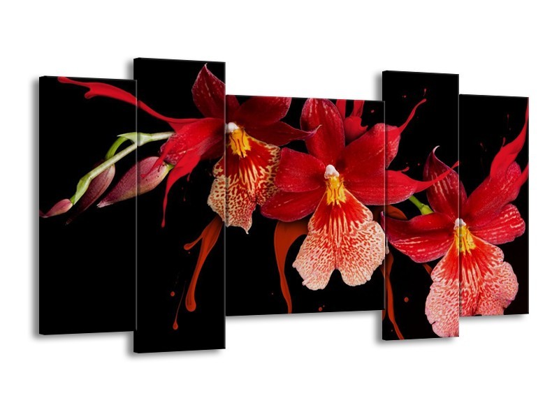 Canvas schilderij Orchidee | Roze, Rood, Zwart, | 120x65 5Luik