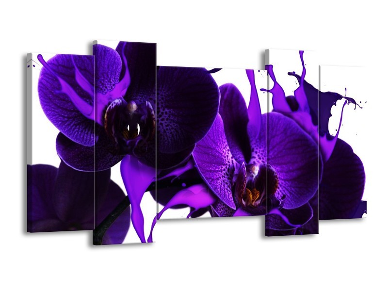 Canvas schilderij Orchidee | Paars, Blauw, Wit | 120x65 5Luik