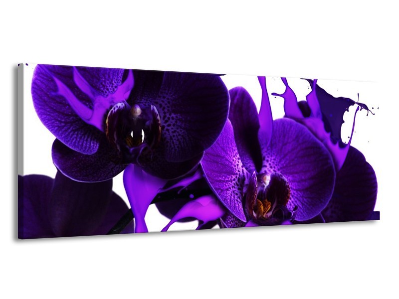 Canvas schilderij Orchidee | Paars, Blauw, Wit | 145x58cm 1Luik