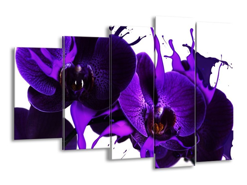 Canvas schilderij Orchidee | Paars, Blauw, Wit | 150x100cm 5Luik