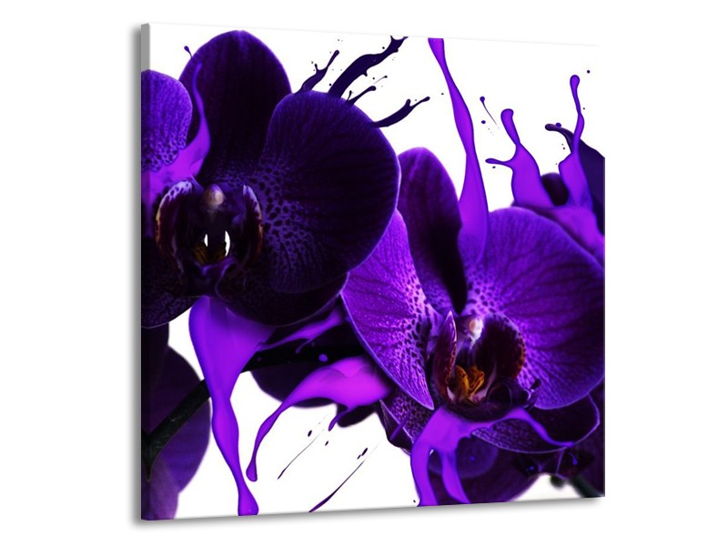 Canvas schilderij Orchidee | Paars, Blauw, Wit | 70x70cm 1Luik