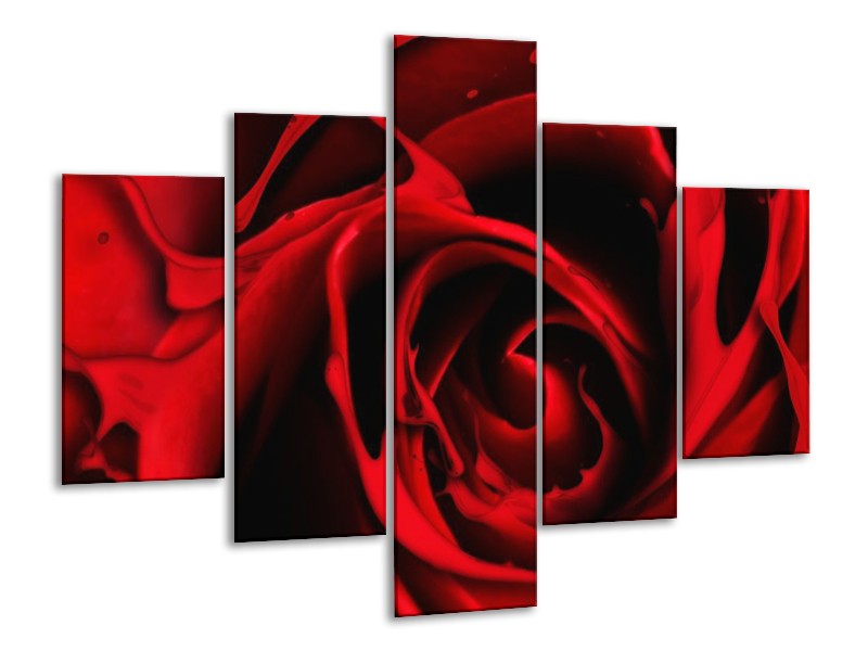 Canvas schilderij Roos | Rood, Zwart | 100x70cm 5Luik