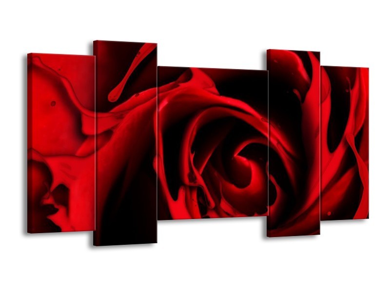 Canvas schilderij Roos | Rood, Zwart | 120x65 5Luik