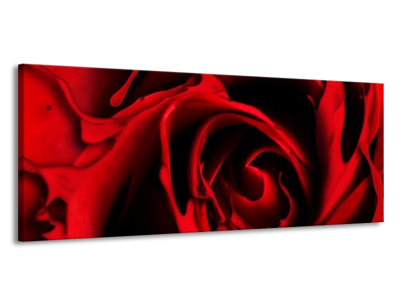 Canvas schilderij Roos | Rood, Zwart | 145x58cm 1Luik