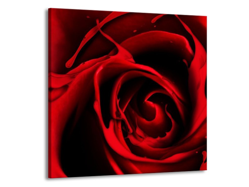 Canvas schilderij Roos | Rood, Zwart | 70x70cm 1Luik