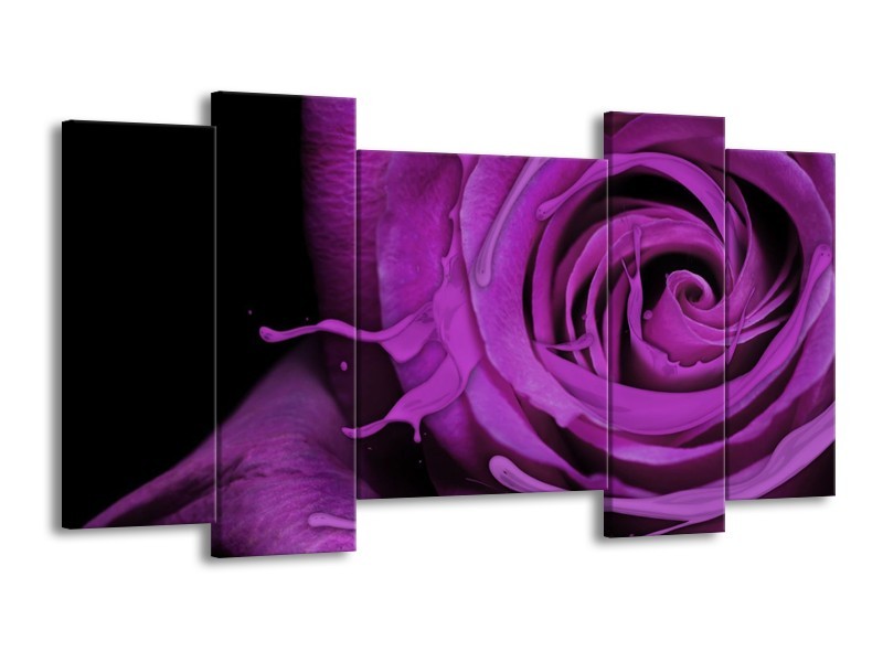Canvas schilderij Roos | Paars, Zwart | 120x65 5Luik