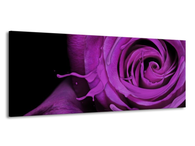 Canvas schilderij Roos | Paars, Zwart | 145x58cm 1Luik