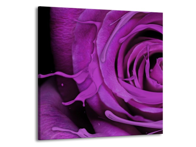 Canvas schilderij Roos | Paars, Zwart | 70x70cm 1Luik