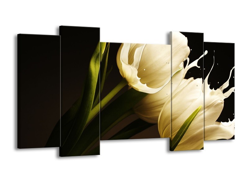Canvas schilderij Tulp | Wit, Groen, Zwart | 120x65 5Luik