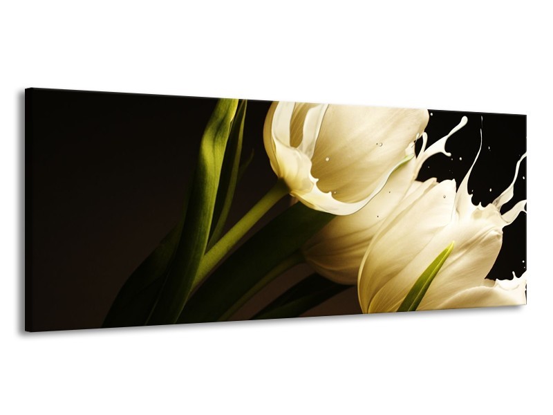 Canvas schilderij Tulp | Wit, Groen, Zwart | 145x58cm 1Luik