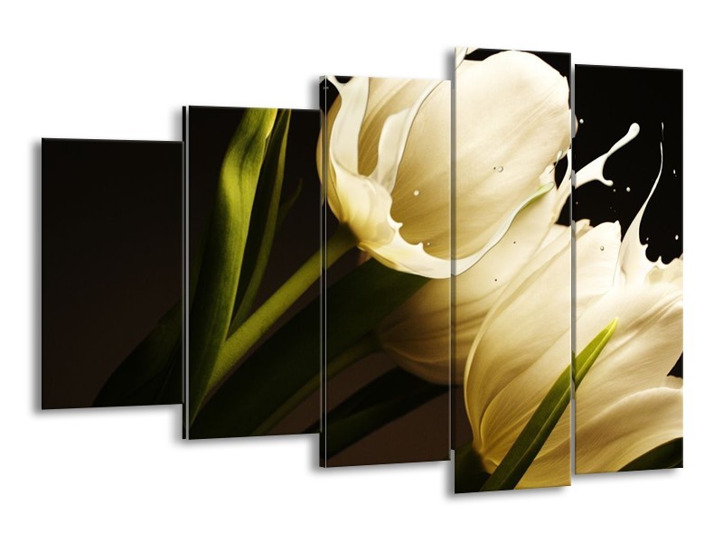 Canvas schilderij Tulp | Wit, Groen, Zwart | 150x100cm 5Luik