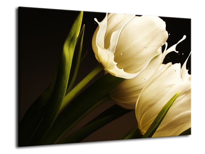 Canvas schilderij Tulp | Wit, Groen, Zwart | 70x50cm 1Luik