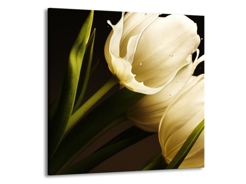 Canvas schilderij Tulp | Wit, Groen, Zwart | 70x70cm 1Luik