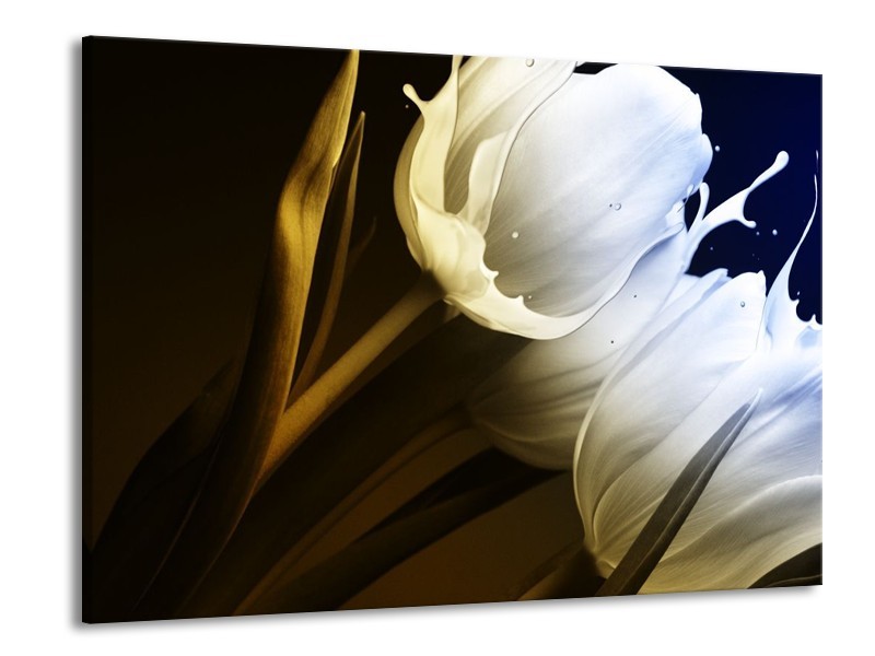 Canvas schilderij Tulp | Wit, Groen, Blauw | 100x70cm 1Luik