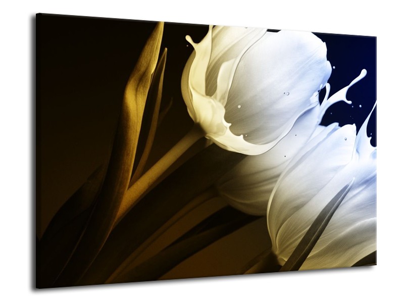 Canvas schilderij Tulp | Wit, Groen, Blauw | 70x50cm 1Luik
