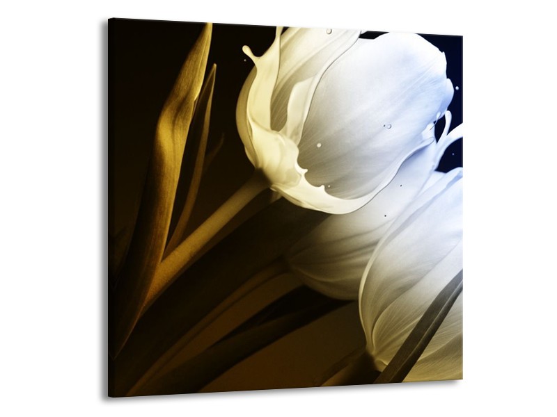 Canvas schilderij Tulp | Wit, Groen, Blauw | 70x70cm 1Luik