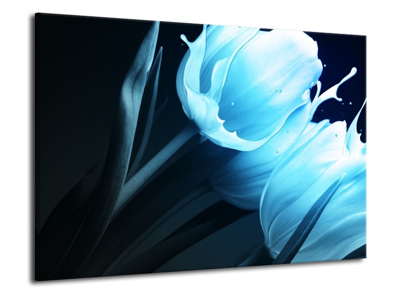Canvas schilderij Tulp | Blauw, Zwart | 70x50cm 1Luik
