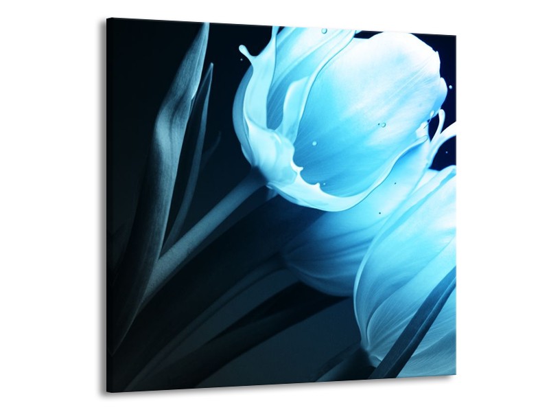 Canvas schilderij Tulp | Blauw, Zwart | 70x70cm 1Luik