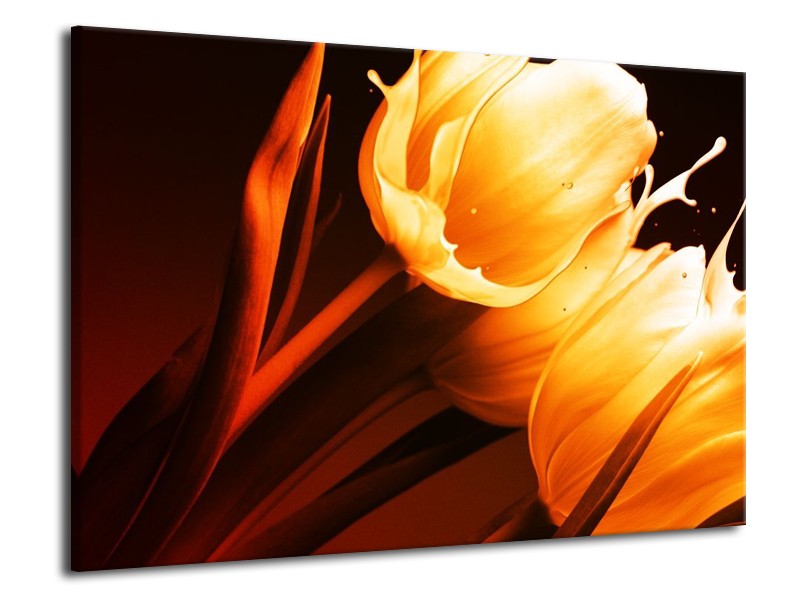 Canvas schilderij Tulp | Geel, Oranje, Bruin | 70x50cm 1Luik