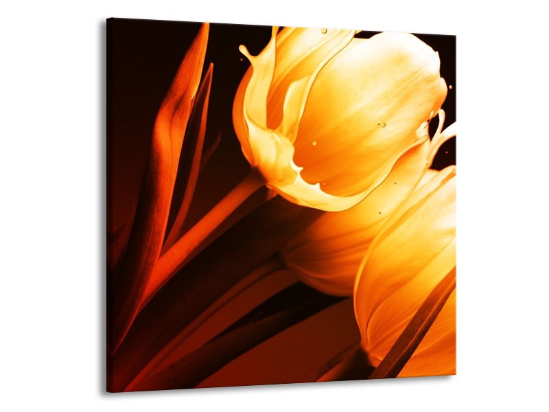 Canvas schilderij Tulp | Geel, Oranje, Bruin | 70x70cm 1Luik