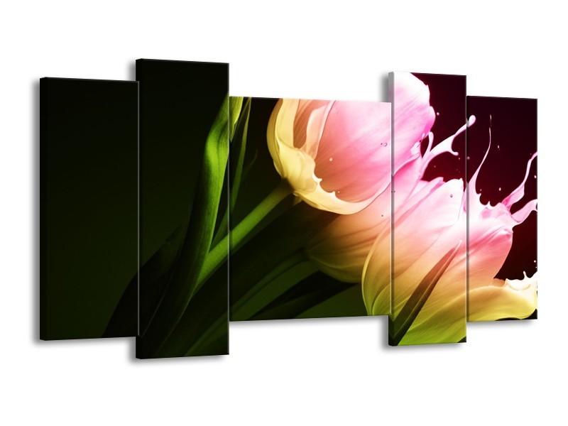 Canvas schilderij Tulp | Groen, Roze, Zwart | 120x65 5Luik