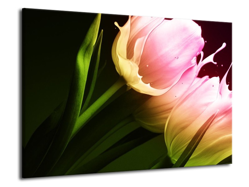 Canvas schilderij Tulp | Groen, Roze, Zwart | 70x50cm 1Luik