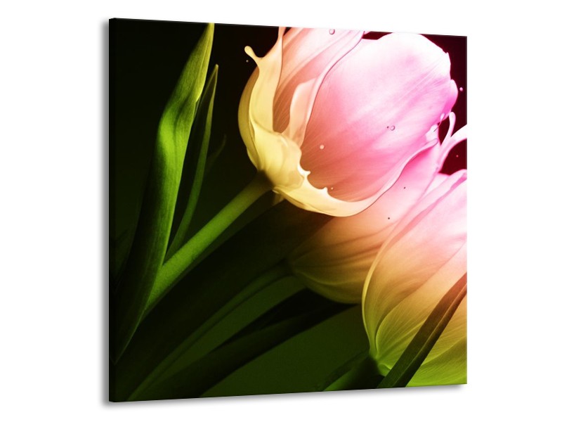 Canvas schilderij Tulp | Groen, Roze, Zwart | 70x70cm 1Luik