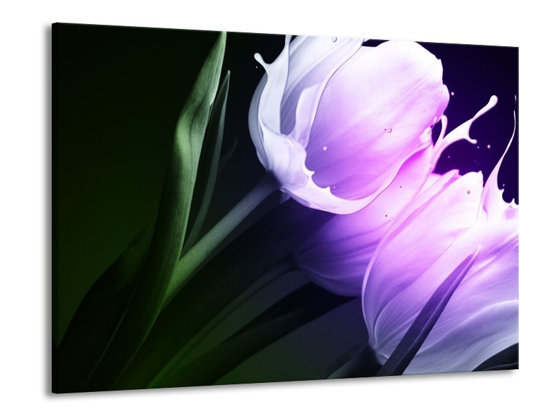 Glas schilderij Tulp | Groen, Paars, Zwart | 100x70cm 1Luik