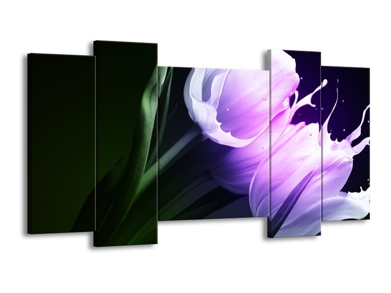 Canvas schilderij Tulp | Groen, Paars, Zwart | 120x65 5Luik