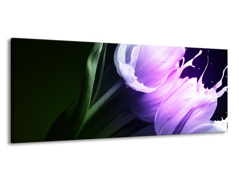 Canvas schilderij Tulp | Groen, Paars, Zwart | 145x58cm 1Luik