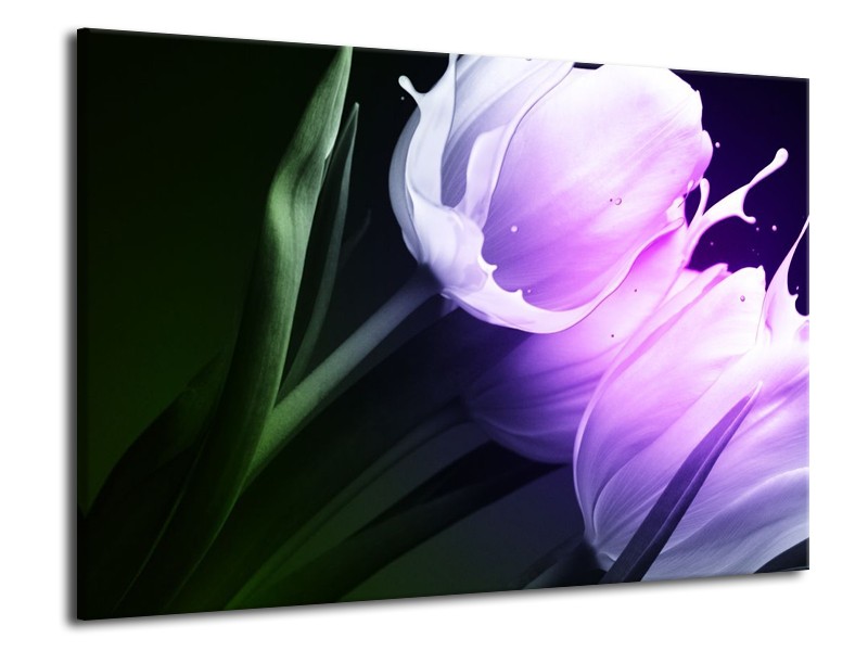 Canvas schilderij Tulp | Groen, Paars, Zwart | 70x50cm 1Luik