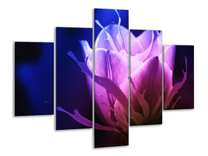 Canvas schilderij Tulp | Blauw, Paars, Roze | 100x70cm 5Luik